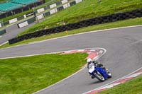 cadwell-no-limits-trackday;cadwell-park;cadwell-park-photographs;cadwell-trackday-photographs;enduro-digital-images;event-digital-images;eventdigitalimages;no-limits-trackdays;peter-wileman-photography;racing-digital-images;trackday-digital-images;trackday-photos